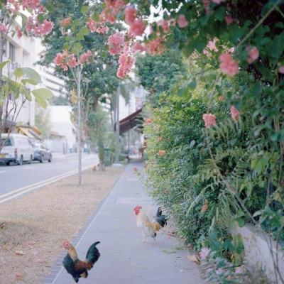 im电竞官方官网app下载